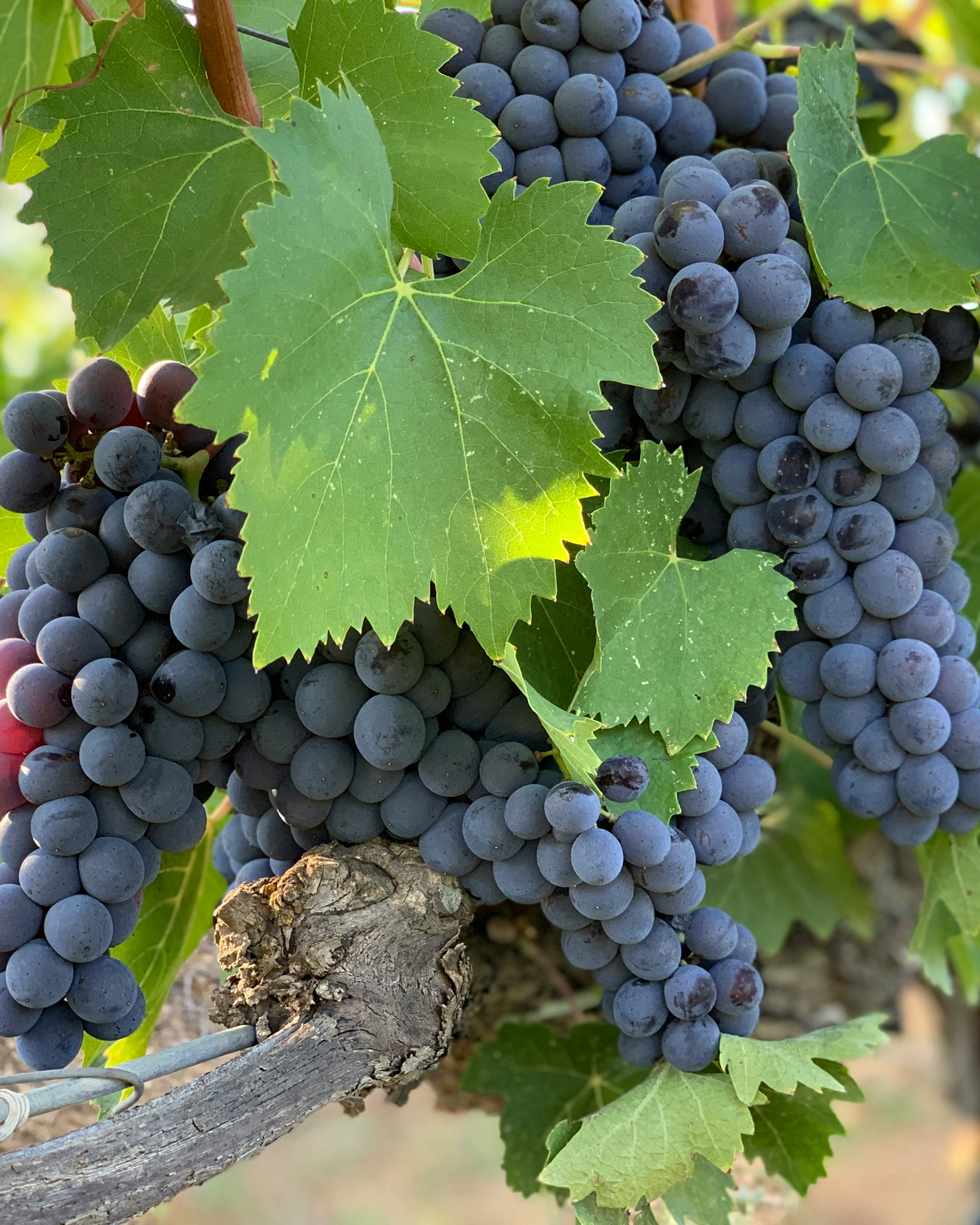 entrepreneur - Mediterranean Retreat